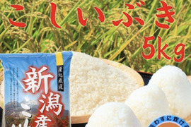 新米　令和7年産　新潟県産　こしいぶき  無洗米  5キロ　　お米　(210)