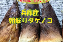 たけのこの通販｜野菜｜3ページ目｜食べチョク｜産地直送(産直
