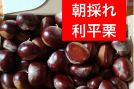 旨味しっかり！朝採れ、利平栗『熊本県産和栗』2.0kg