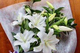 女王の名にふさわしい風格と気品「カサブランカ」セット【熨斗対応可】