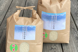 令和5年の新米(^^)清流育ちのおいしいコシヒカリ