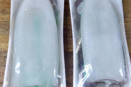 【鮮度抜群】天草・牛深産 釣りアオリイカ（下処理済み・急速冷凍） 700g〜1kg