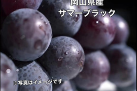 岡山県産✨サマーブラック🍇粒売り1kg入