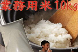 新米　令和7年産　新潟県産　業務用米  白米  10キロ  お米　訳あり　(gyoumuyoumai)