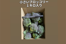 １キロ入り小さいブロッコリー
