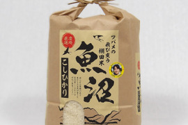 受賞多数！ R6年産 魚沼産コシヒカリ ツバメの飛び交う棚田米 精米5Kg