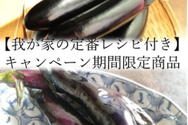 【おすすめの食べ方付き】トロ~リ長ナス 大盛りセット☆(約4kg)