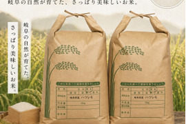 岐阜のお米！ ハツシモ 1等米 白米20Kg(令和7年産) ヘルシー米