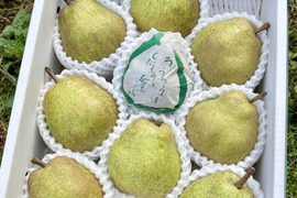 【ラフランス専業農家が贈る🍐】ラ・フランス  ３ｋｇ 特秀 ９玉入り