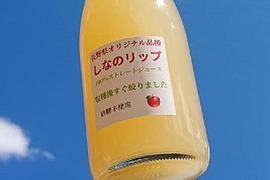 新作！「しなのリップ100％ストレートジュース」長野県オリジナル品種シナノリップりんごを収穫後すぐ搾りました。(砂糖不使用）爽やかな甘味、スッキリとした味わい「スタッフお薦め」中々ありません。レア商品