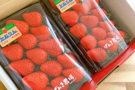 【2箱セット】埼玉県オリジナル品種【激レア】「かおりん」1,120g