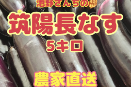 野菜　なす　5キロ　宮崎県産
