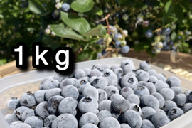 【品種：ブルージェイ】冷凍ブルーベリー•1kg（道産自然栽培）※まとめ買い対応