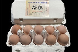名古屋コーチンの卵 【桜鶏】30個入り平飼い・放し飼い