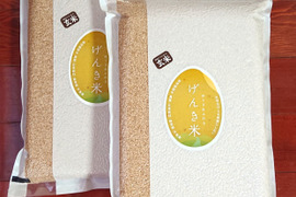 まとめて送って超特価！
JAS認証有機栽培・富山県産コシヒカリ・玄米4.5kg（30合）×２　真空パック入りセット