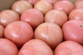 《おﾄｸな訳あり》味が濃くジューシィ！大玉トマト『りんか』(ご家庭用・4キロ)