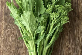 春のイタリア野菜 チーマディラーパ 西洋菜花