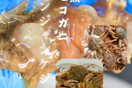 セイコガニ【カンジャンケジャン】1杯分