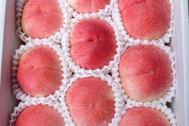 あら川の桃【硬い桃】桃夭 小箱(1.7kg)