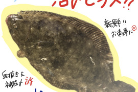 陸奥湾産天然ヒラメ【神経締め&血抜き済み！】1.5〜2.0kgサイズ