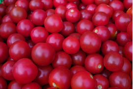 【便利】ヘタなしミニトマト(1.2kg)味のバランスバッチリ！皮が薄めで食べやすい！調理にもオススメ！