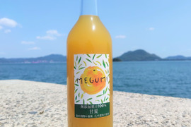【農薬不使用】無添加果汁100％！甘夏ジュース 720ml ×3本