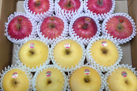 【岩手・紫波町】特別栽培「サンふじ」「はるか」の詰め合わせ（ご家庭用・5kg）🍎クリスマス・年末に🎄🎍