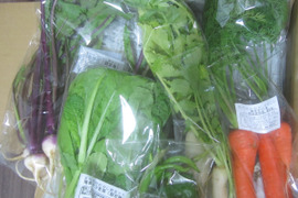 ＜自然栽培の黒田五寸人参　１ｋｇ＞肥料不使用、農薬も不使用で昔ながらの濃い人参の香りと甘さ！唸るほど美味な≪黒田五寸人参≫を八ヶ岳南麓よりお届します
