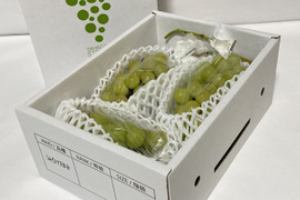 「シャインマスカット」約400g 3房入り「数量限定」「期間限定」