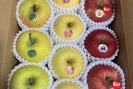 【晩生種】🍏🍎人気の三種🍏サンふじ・はるか・ぐんま名月🍎葉とらず入り品種ミックス🍎３キロ