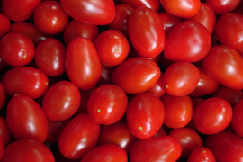 ★期間限定20％オフ★【本当にミニトマトなの？！】新品種『わにつかトマト こくあまプレミアム』【1.2kg】はじけるジューシーな味わい