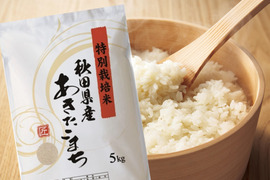 【新米】【玄米】噛むほど甘い！農家のこだわりのお米「あきたこまち」5kg