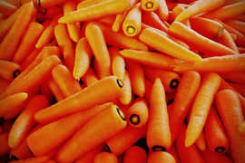 人参 訳あり 3kg