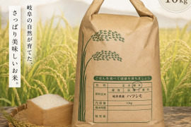 岐阜のお米 ハツシモ  
令和7年産  白米 10Kg 🍚
