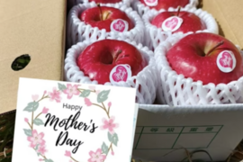 【母の日ギフト】ピンクレディー™1kg｜ありがとうを贈る大人のりんご（カード付）