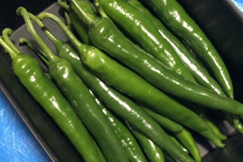 【クール便】辛さ薫る　激辛青唐辛子　1kg