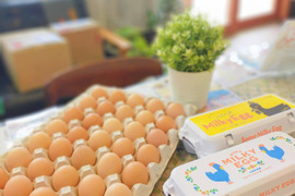 【平飼い】《ちび卵》相馬ミルキーエッグ～★まとめ買い！