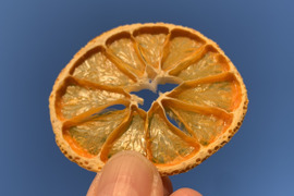 【訳あり】砂糖不使用なのに甘〜い！ドライみかん 20g〈農薬・化学肥料不使用〉