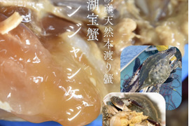 浜名湖産本ワタリガニ【カンジャンケジャン】1杯分