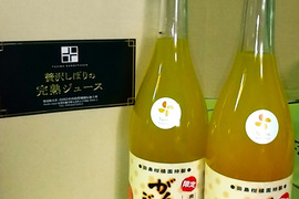 【昔も今も変わらない美味しさ】がんちゃん　温州ミカン完熟贅沢絞りジュース720㎖の2本セット