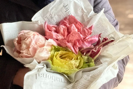 魅惑のイタリア野菜ラディッキオ3種