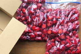 【巣ごもり応援】鮮度抜群！たっぷり冷凍あまおう1kg(500g×2袋)