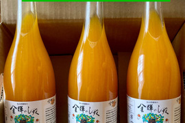 【糖度14度以上の樹上完熟みかん使用】果汁100％ジュース！　「金輝のしずく」　720ml×3
