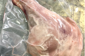 仔猪の骨付き肉【1.09kg】