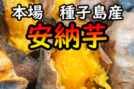 【本場】完熟！ねっとり！安納芋紅2S　5キロ【種子島産】