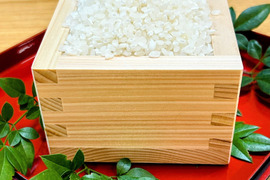 【令和7年産 こしひかり白米10㎏】　【9周年感謝祭】