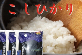 新米　令和7年産　新潟県産　コシヒカリ  30キロ  白米 　(8)