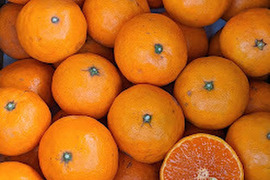 農家直送！なつみオレンジ　秀品 2kg  〜蛍飛ぶ町から旬の便り〜　和歌山｜有田｜田口｜ギフト