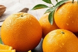 【本家・春峰】春を呼ぶプチプチ食感！爽やかな甘さがクセになる