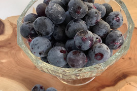 訳あり大特価！知多半島産【小粒冷凍ブルーベリー1㎏】